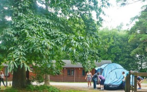 NLP tent move 3